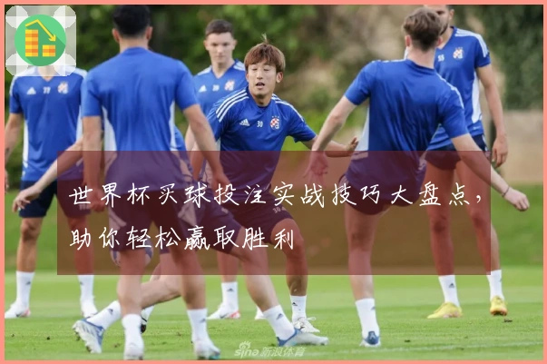 世界杯买球投注实战技巧大盘点，助你轻松赢取胜利