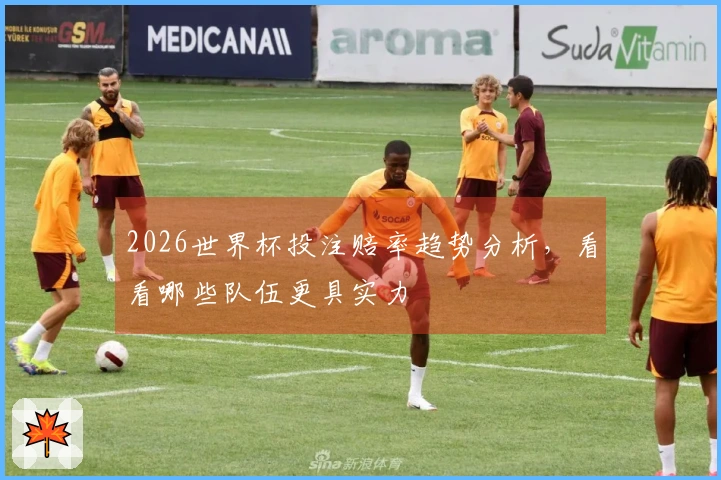 2026世界杯投注赔率趋势分析，看看哪些队伍更具实力