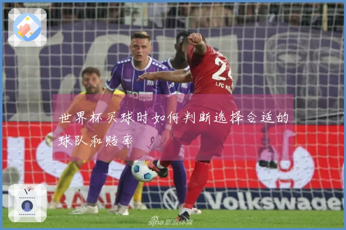 世界杯买球时如何判断选择合适的球队和赔率