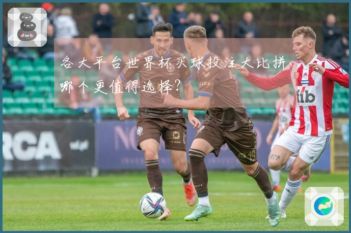 各大平台世界杯买球投注大比拼，哪个更值得选择？