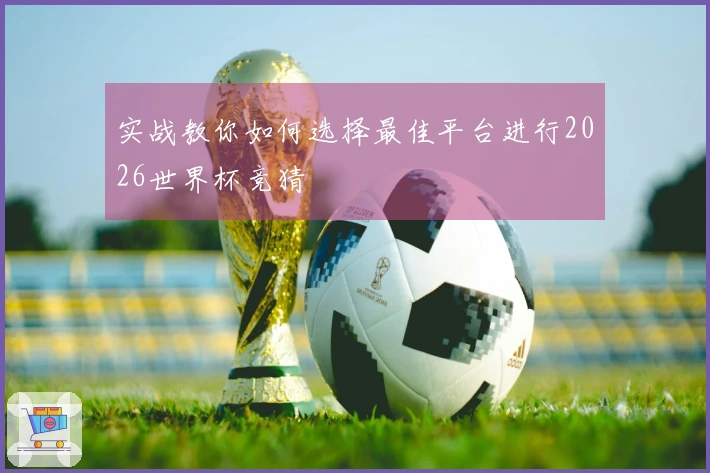 实战教你如何选择最佳平台进行2026世界杯竞猜