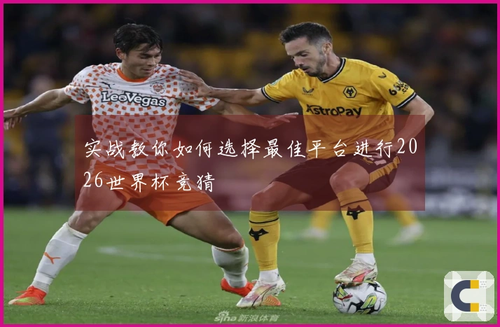 实战教你如何选择最佳平台进行2026世界杯竞猜