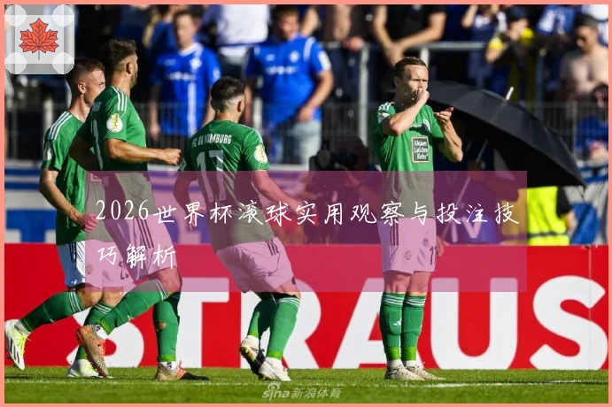 2026世界杯滚球实用观察与投注技巧解析