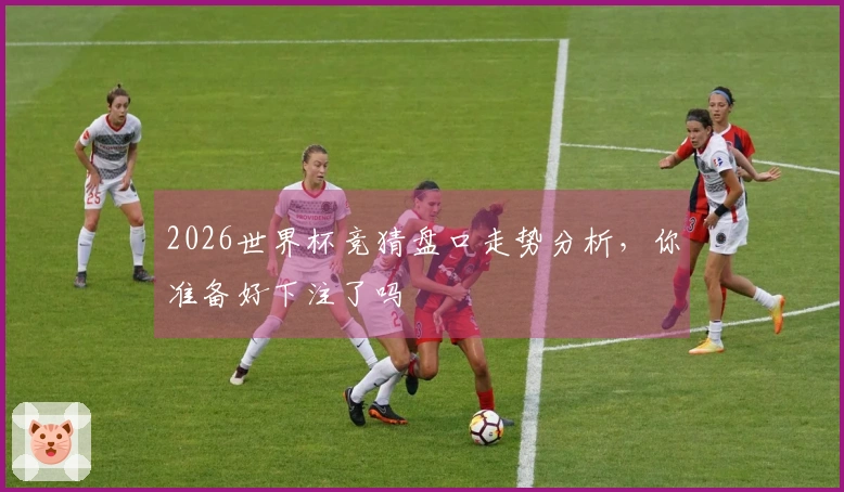 2026世界杯竞猜盘口走势分析，你准备好下注了吗